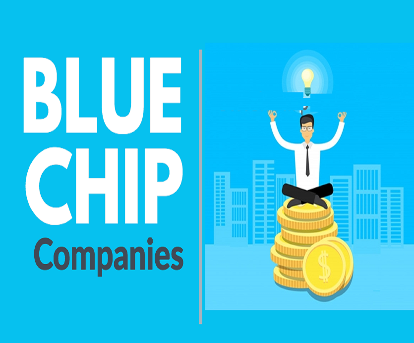 Blue Chip Shares - ब्लू चिप शेअर्स